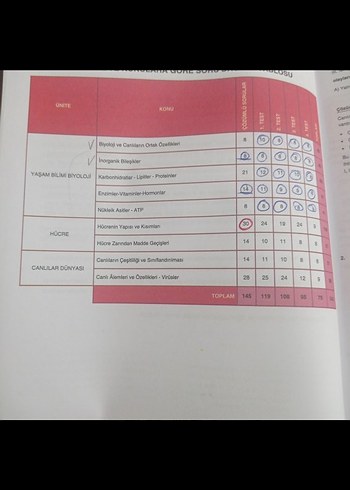 9. Sınıf Dört Dörtlük Konu Pekiştirme Testleri - Görsel 4