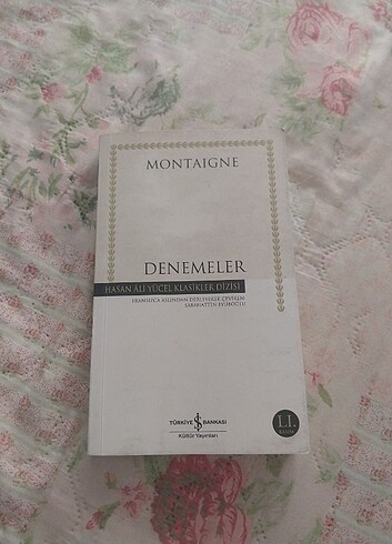 Denemeler roman