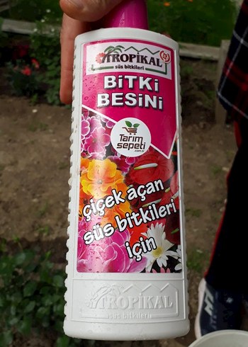 Tropikal Bitki Besini