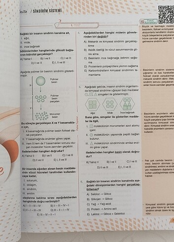  palme ayt biyoloji