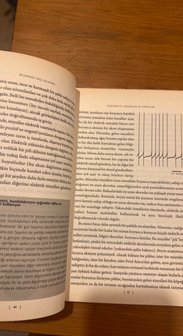 Beyninizde Hoş Geldiniz - Sandra Aamodt, Sam Wang - Görsel 3