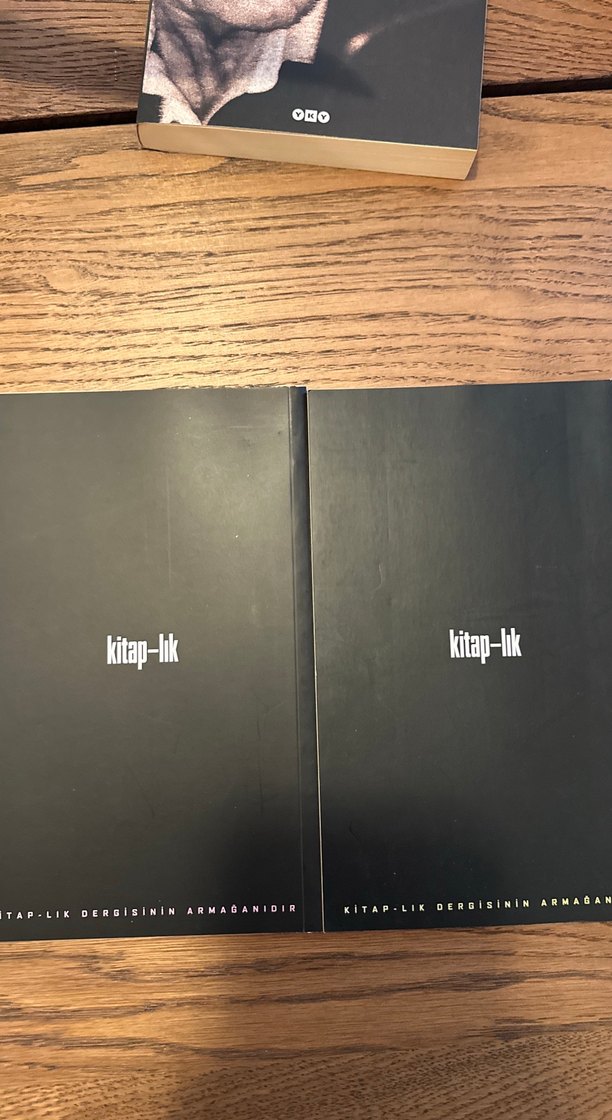 A'dan Z'ye Ece Ayhan ve Edip Cansever Romanları - Görsel 2