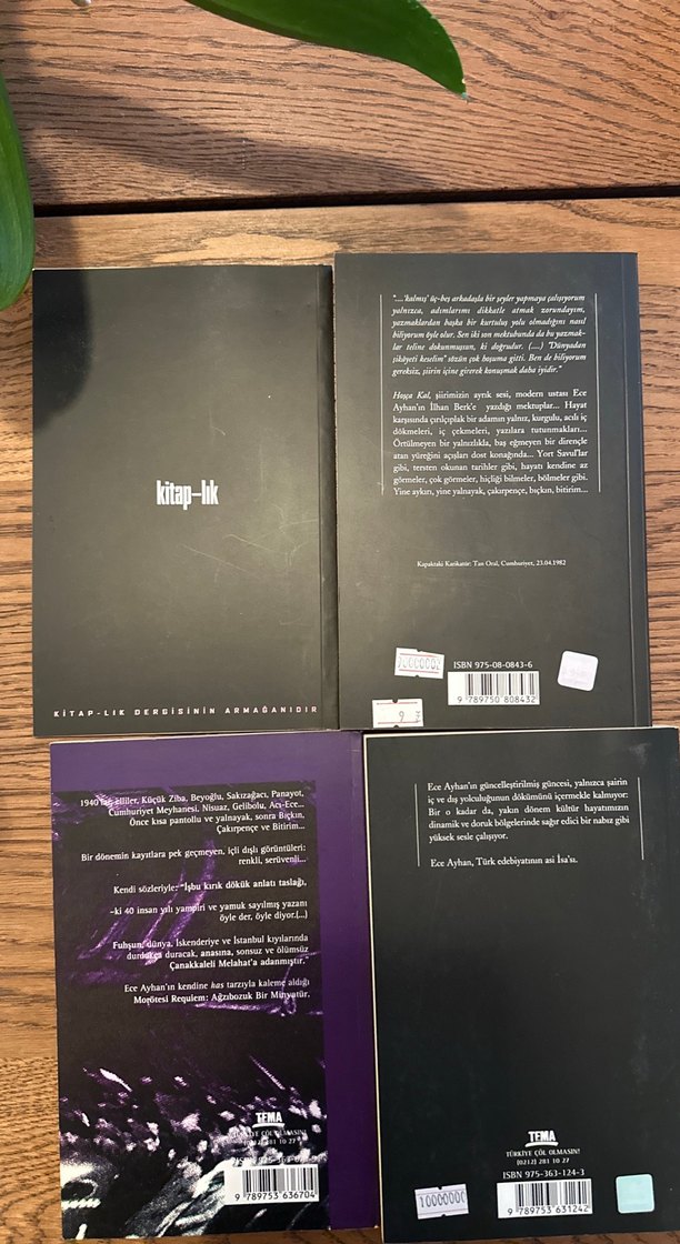 Ece Ayhan Kitap Seti - 4 Kitap - Görsel 2