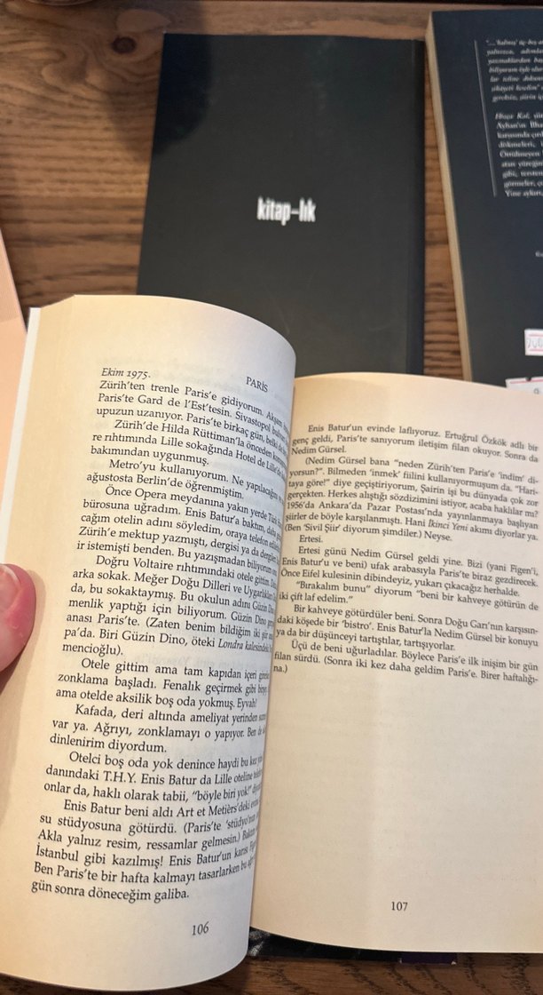 Ece Ayhan Kitap Seti - 4 Kitap - Görsel 3