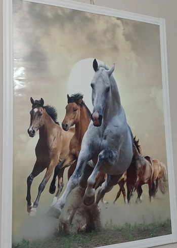 At Sürüsü Ofis/Ev Tablo