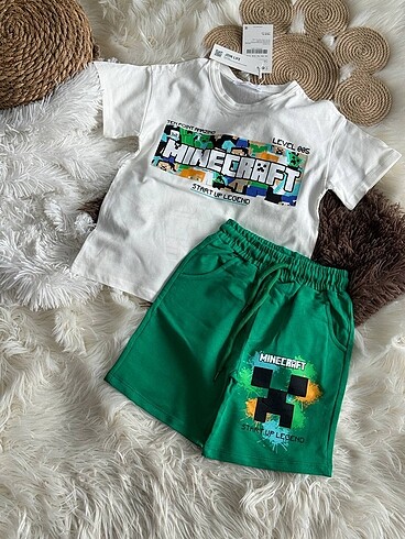 Zara minecraft takım