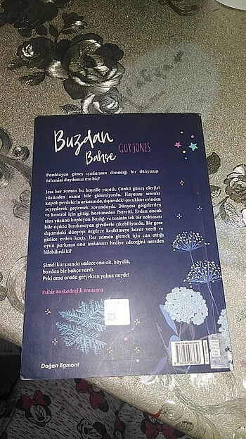 Buzdan bahçe