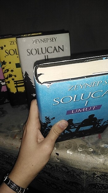  Solucan serisi