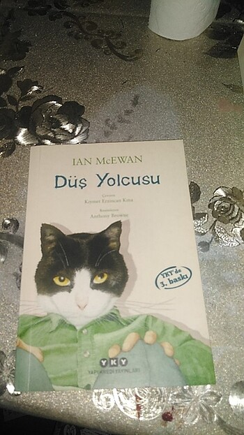 Düş yolcusu