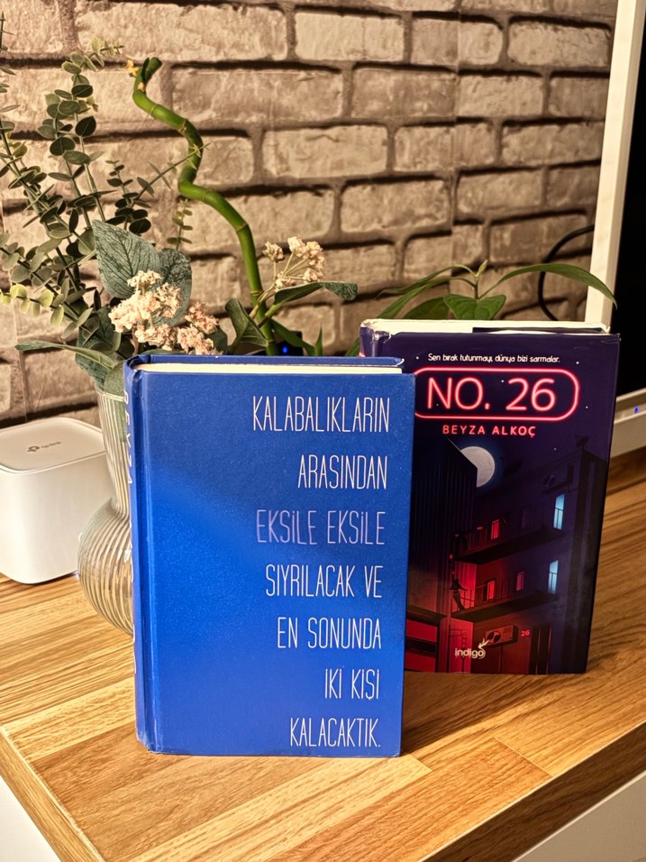 No. 26 - Beyza Alkoç - Görsel 3