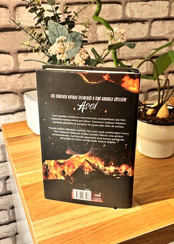 Asel - Sena Nur Işık Romanı - Görsel 2