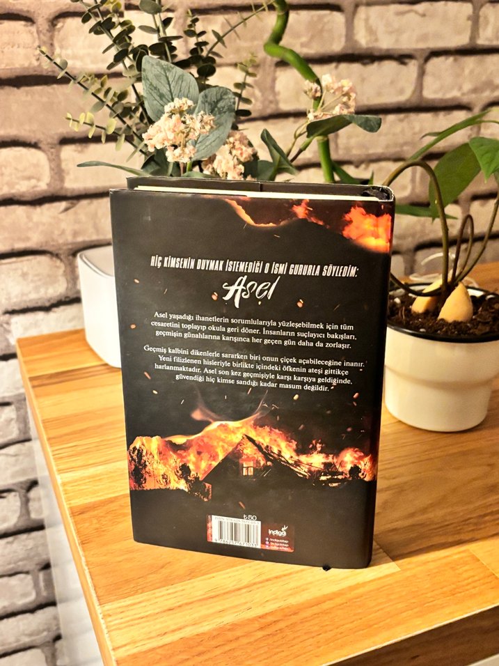 Asel - Sena Nur Işık Romanı - Görsel 2