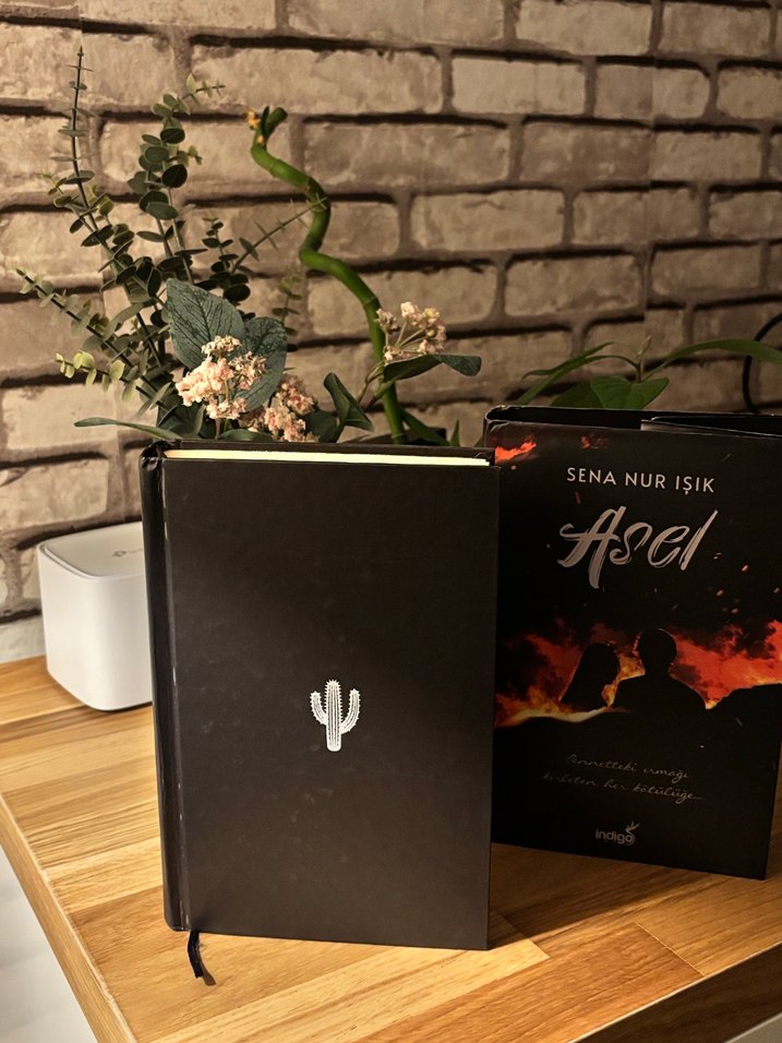 Asel - Sena Nur Işık Romanı - Görsel 3