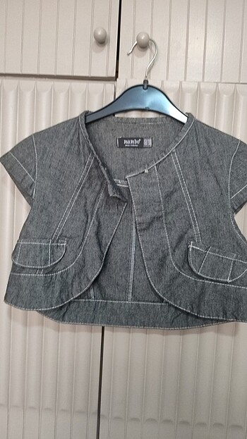 Kot gri bolero