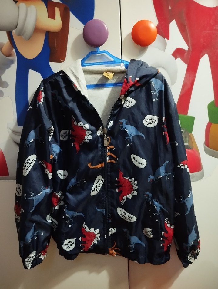 Kapüşonlu Renkli Baskılı Erkek Çocuk Yağmurluk - Görsel 3