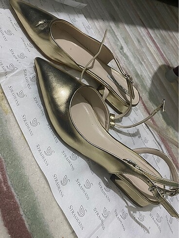 Straswans Sivri burun gold babet