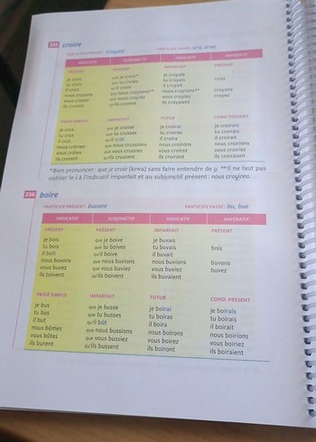 Bescherelle L'orthographe - Fransızca Yazım Kılavuzu - Görsel 3