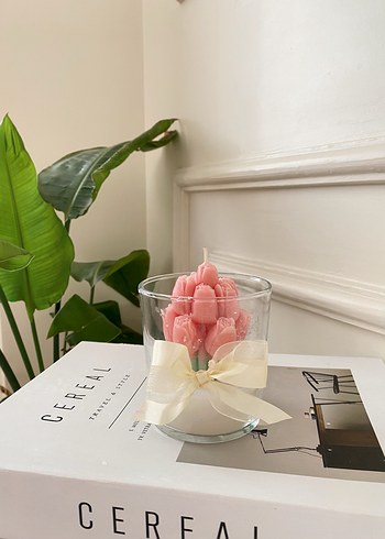 Pembe Pastel Mum ve Cam Mumluk