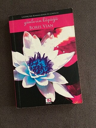 Boris Vian Günlerin Köpüğü Kitap/Roman