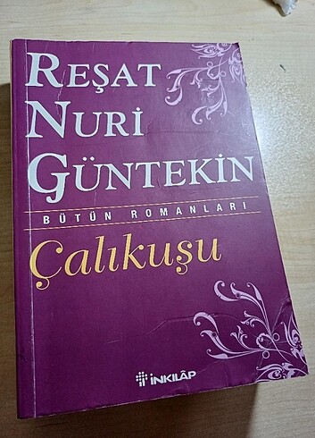 Reşat Nuri Gültekin Çalıkuşu