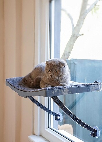 Kedi Yatağı Vantuzlu kedi taragi