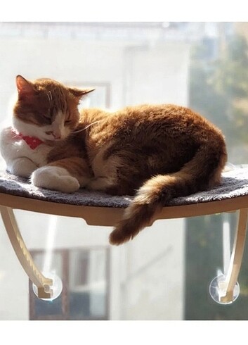 Cama Asılan Kedi Yatağı Vantuzlu