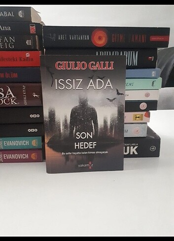 Issız ada 