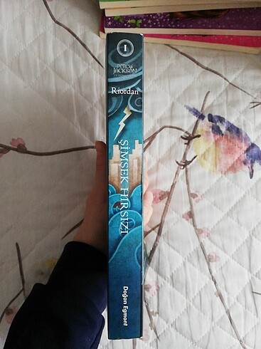  Beden Percy Jackson ve Olimposlular