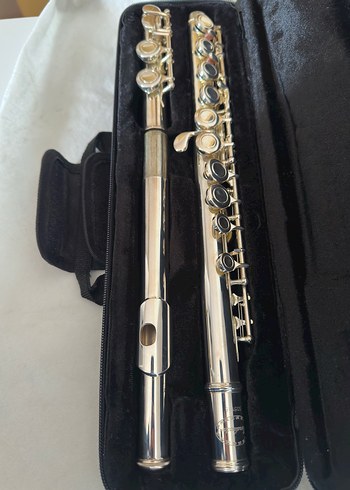 Conduktor Yan Flüt ve Taşıma Çantası - Görsel 2