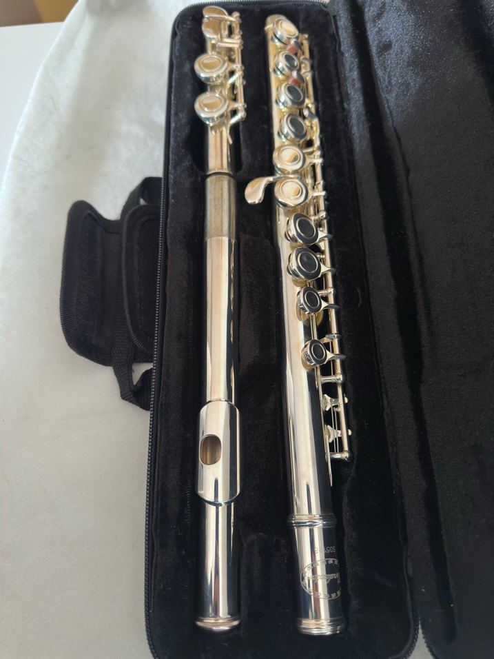 Conduktor Yan Flüt ve Taşıma Çantası - Görsel 2