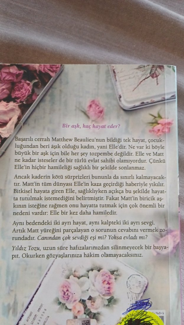 Yıldız Tozu - Priscille Sibley - Görsel 2