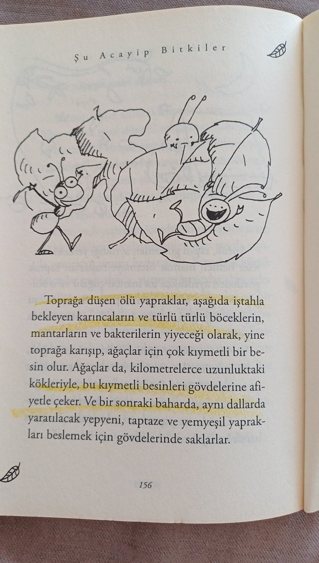 Şu Acayip Bitkiler - Tarık Uslu - Görsel 3