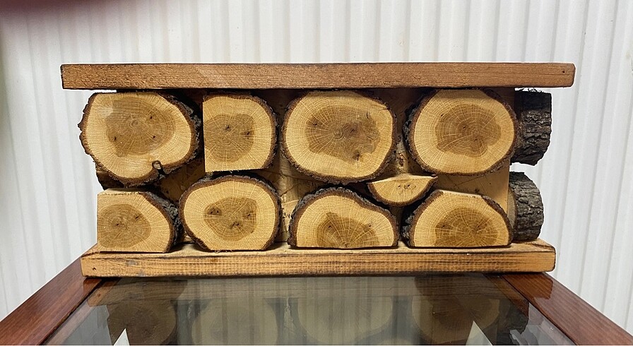 Kütük sandık kutu - Görsel 3