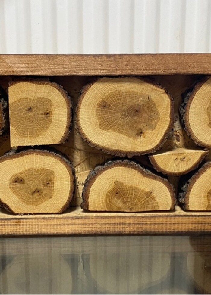 Kütük sandık kutu - Görsel 3