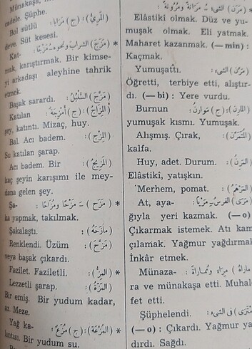 Beden Renk Yeni Kamus