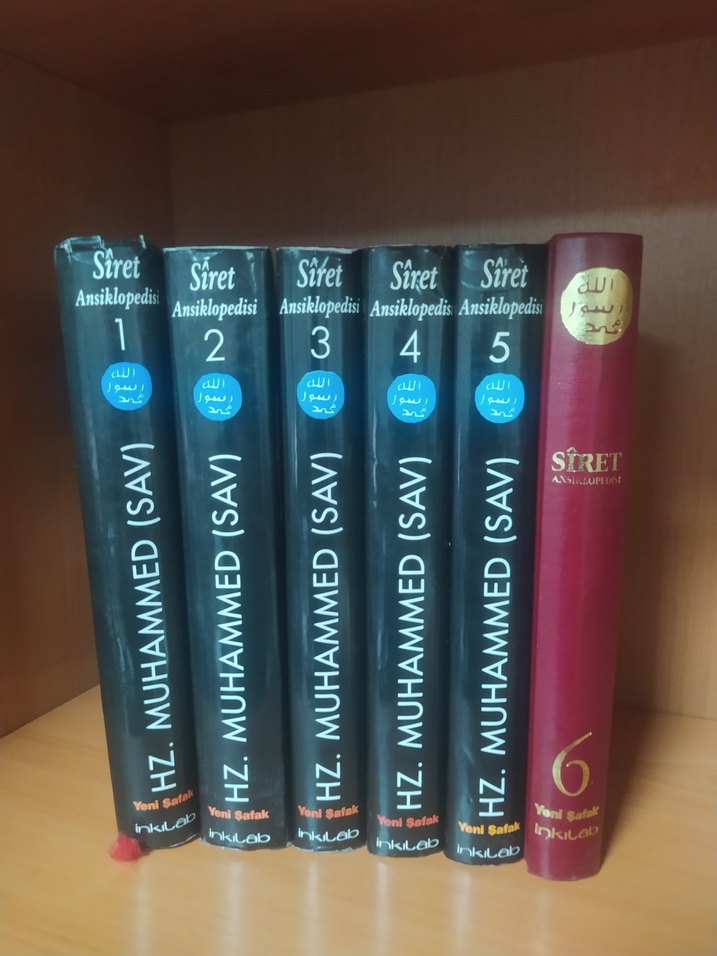 Siret Ansiklopedisi 6 Cilt Takım - Görsel 2