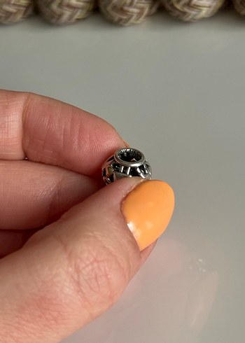 Pandora Two Tone Aile Charm - Görsel 4
