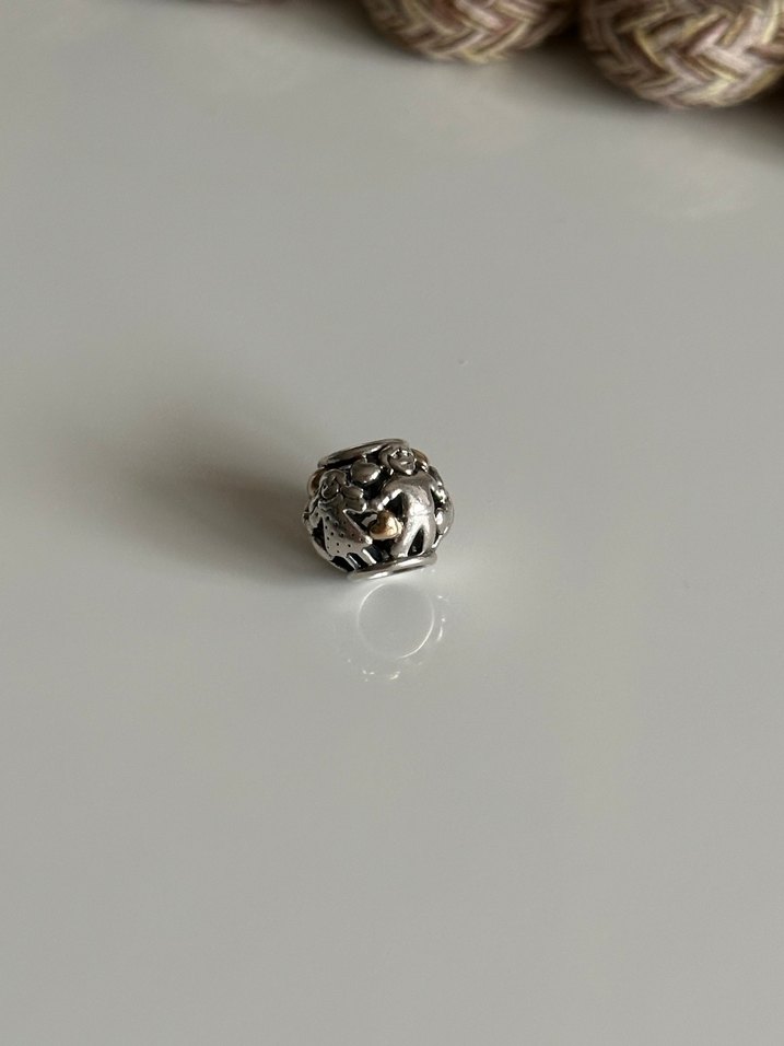 Pandora Two Tone Aile Charm - Görsel 2