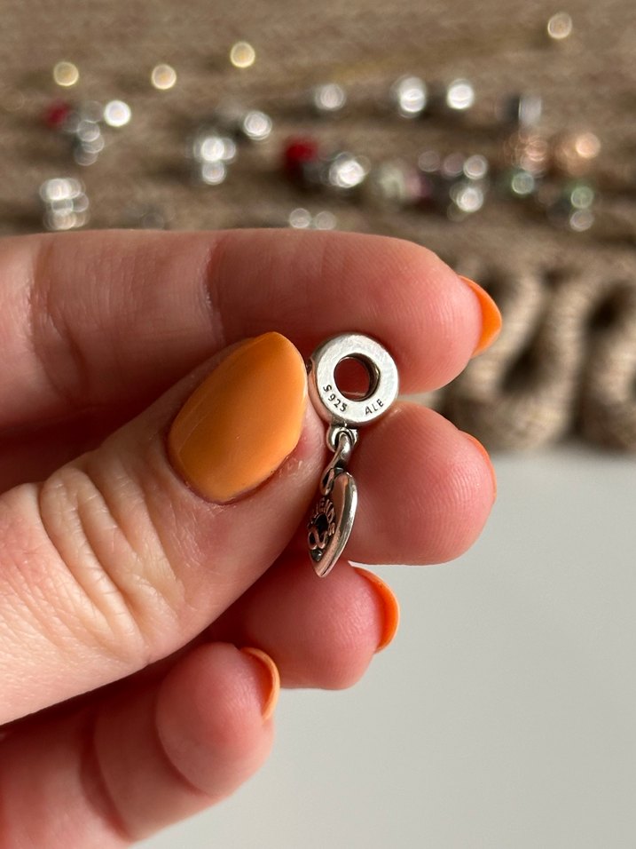 Pandora Sonsuza Kadar Arkadaşlık Charm - Görsel 3