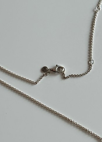 Pandora Kalp ve Kanat Kolye - Görsel 3