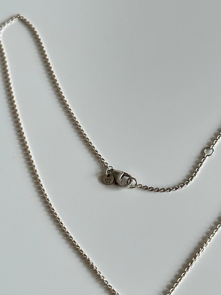 Pandora Kalp ve Kanat Kolye - Görsel 2