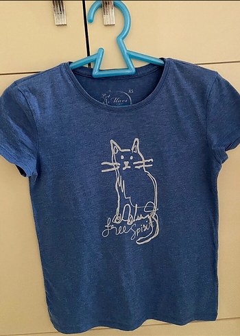 Kaliteli dört adet tshirt kombini takım halinde
