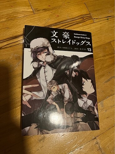 Bungou Stray Dogs 13 manga