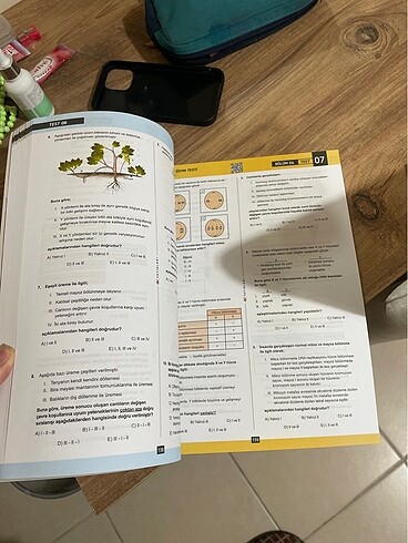  Beden Renk Tyt biyoloji soru bankası
