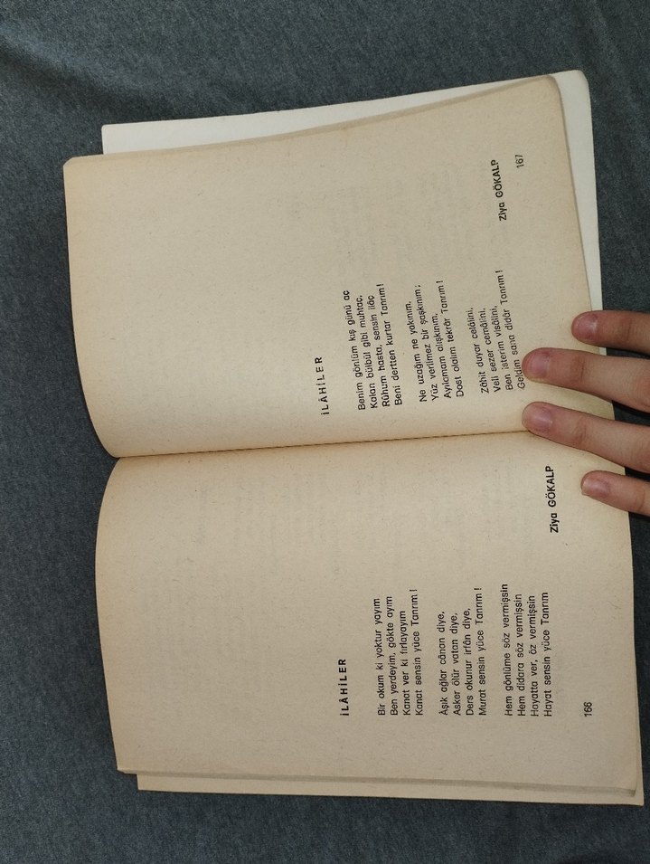 Şiir Demeti - Rıza Akdemir - Görsel 3