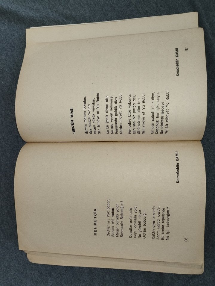 Şiir Demeti - Rıza Akdemir - Görsel 2