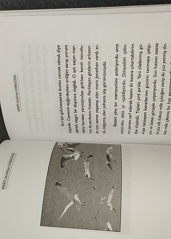 Martı - Jonathan Livingston Rchard Bach - Görsel 2