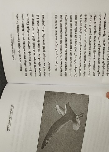 Martı - Jonathan Livingston Rchard Bach - Görsel 3