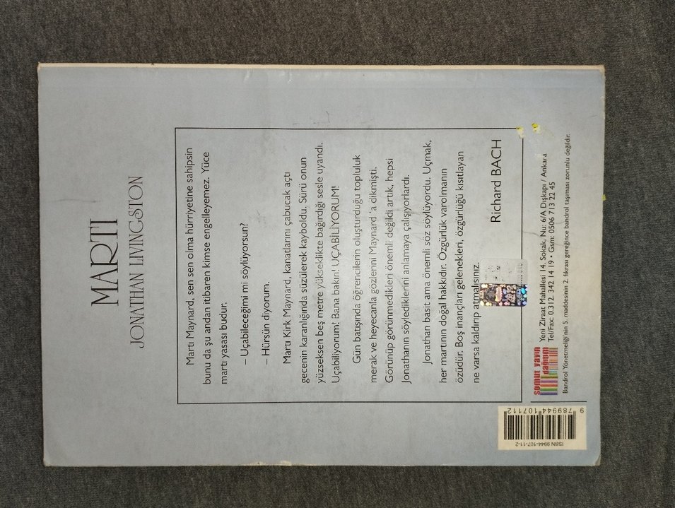 Martı - Jonathan Livingston Rchard Bach - Görsel 4