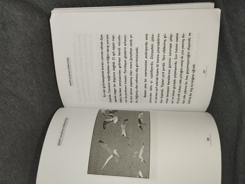 Martı - Jonathan Livingston Rchard Bach - Görsel 2